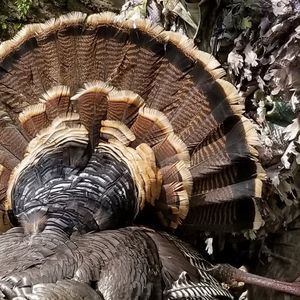 Meet your Posher, Jeff